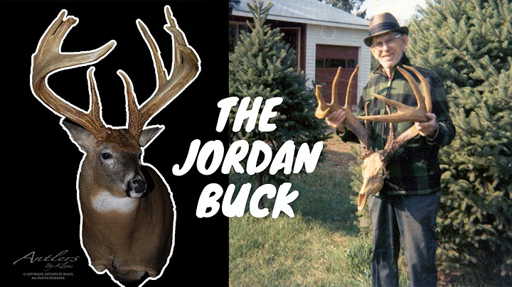 The World's Top Scoring Typical Buck for 79 YEARS! The Story of the Jordan Buck