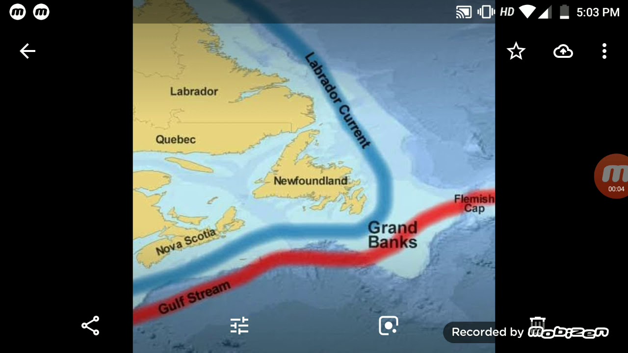 Grand Bank and Dogger Bank -Fishing Ground of N.Atlantic Ocean 