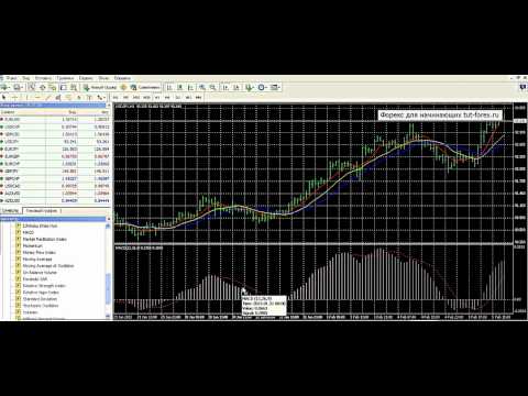 ФОРЕКС ЛУЧШЕЕ ВИДЕО СМОТРЕТЬ ВСЕМ ИЗУЧАЕМ АЗЫ АЗЫ ФОРЕКС-20-08-2015