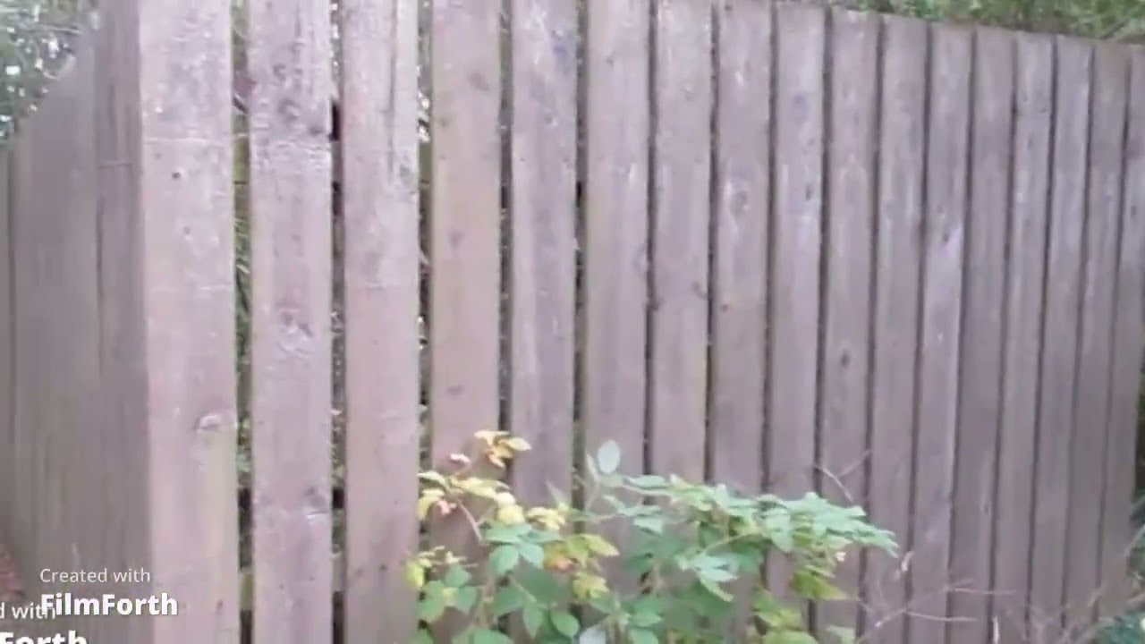 Cullaloe Reservoir - a Geograph video