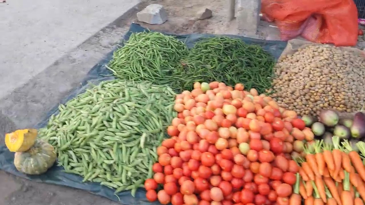 Local fish market in assam 