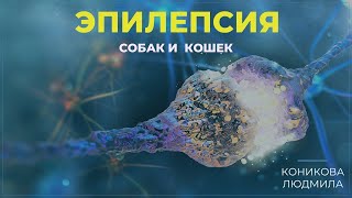 Эпилепсия собак и кошек