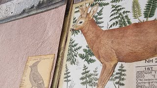 Altered File Folder Folio Junk Journal - The Forest - Part 3