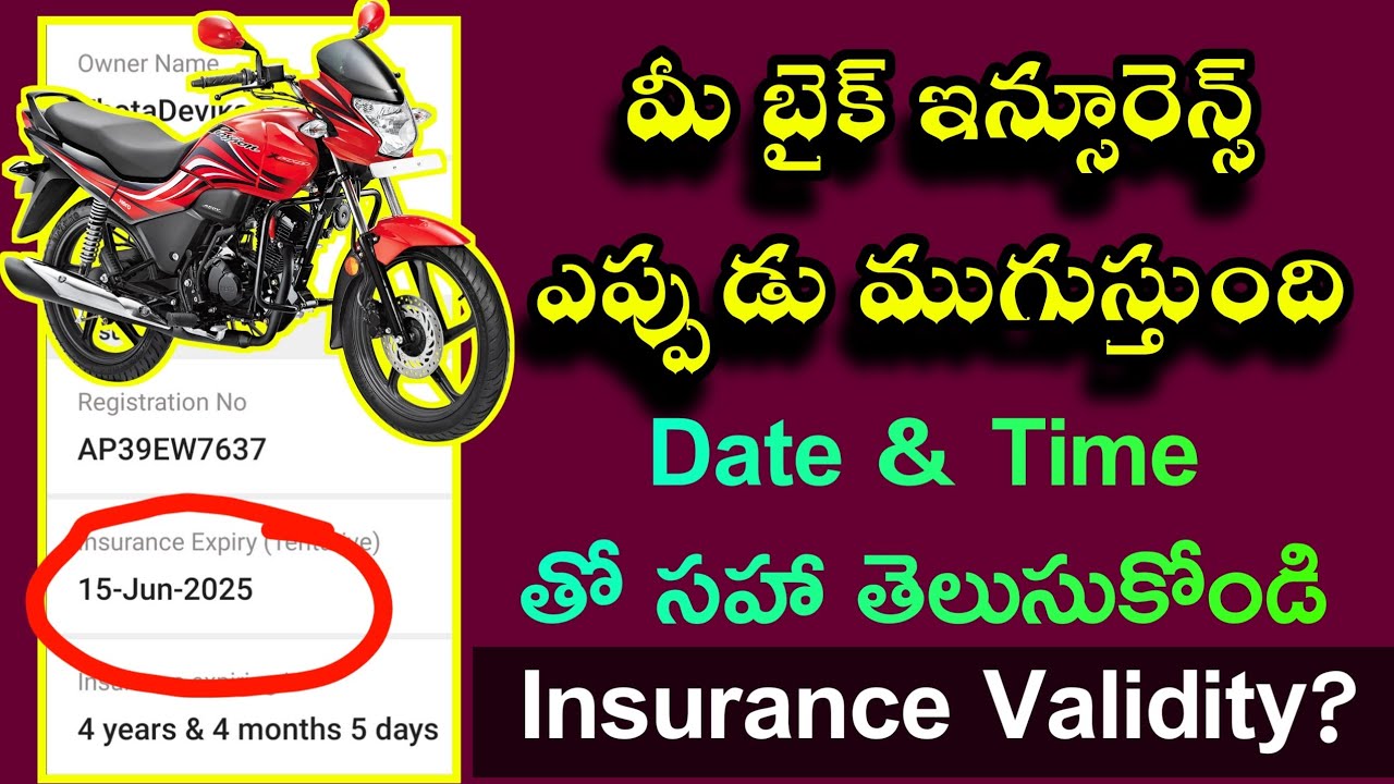 How to check your bike or car insurance validity in one minute YouTube