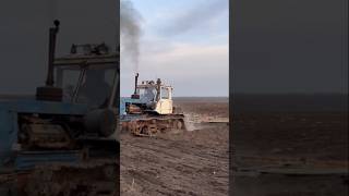 Т150. Т150К. Мощь без контроля. Часть 1 #facts #интересное #сельскоехозяйство #farming #трактор