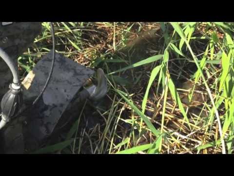 Подвесной болотоход и плоскодонка GATOR TAIL MODEL 1860 -  2013
