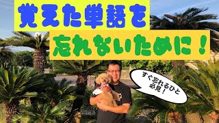 覚えた単語を脳にキープしておく方法はありませんかという質問が多数届いていますので、それに答えました。#英語勉強法 #英単語