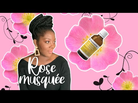 Vidéo: Rose Musquée: Espèces Et Variétés