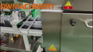 Famous Snack Bag Sorting Machine High Speed Line For Robotic Packaging Of Bags Of Snacks Into Flow Wrapper Profile