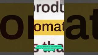 This AI Assistant Lives in Your Browser screenshot 5