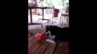 20130808_135255.mp4(4)