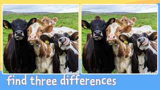 BRAIN GAME--Find Three Differences--#114