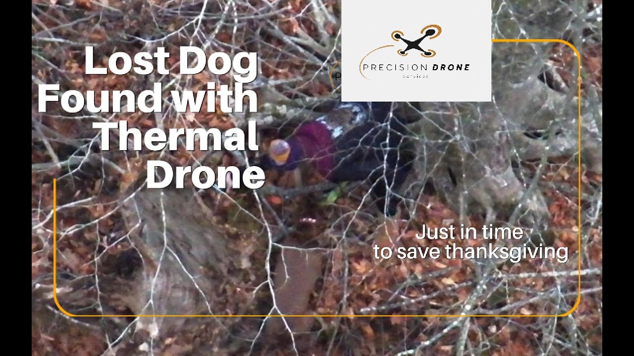 LOST DOG - Thermal Drone Saves Thanksgiving - YouTube