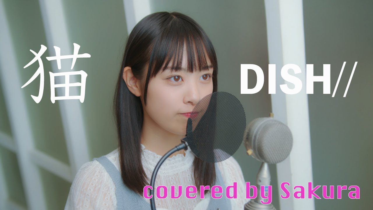 猫 - DISH// covered by Sakura(50天) - YouTube