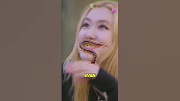 BLACKPINK 2NE1 BIGBANG Shocking Trainee Lives 