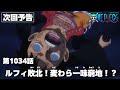 ONE PIECE 1034話予告「ルフィ敗北！麦わら一味窮地！？」