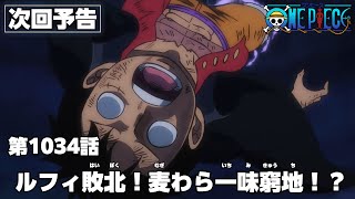 ONE PIECE 1034話予告「ルフィ敗北！麦わら一味窮地！？」