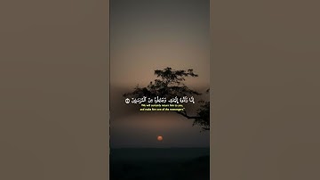 واوحينا الى ام موسى ان ارضعيه | تلاوة نادرة #القارئ ياسر الدوسري