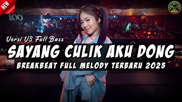 DJ AYO SAYANG CULIK AKU DONG V3 BREAKBEAT FULL MELODY TERBARU 2025 FULL BASS !!