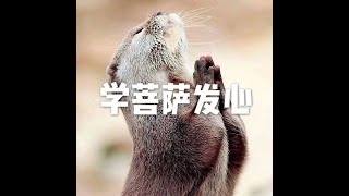 201803 学菩萨发心23764