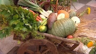 Продукцию произведённую в городе чёрного лиса отметят логотипом «Сделано в Сургуте» Продукцию произведённую в городе чёрного лиса отметят логотипом «Сделано в Сургуте»
