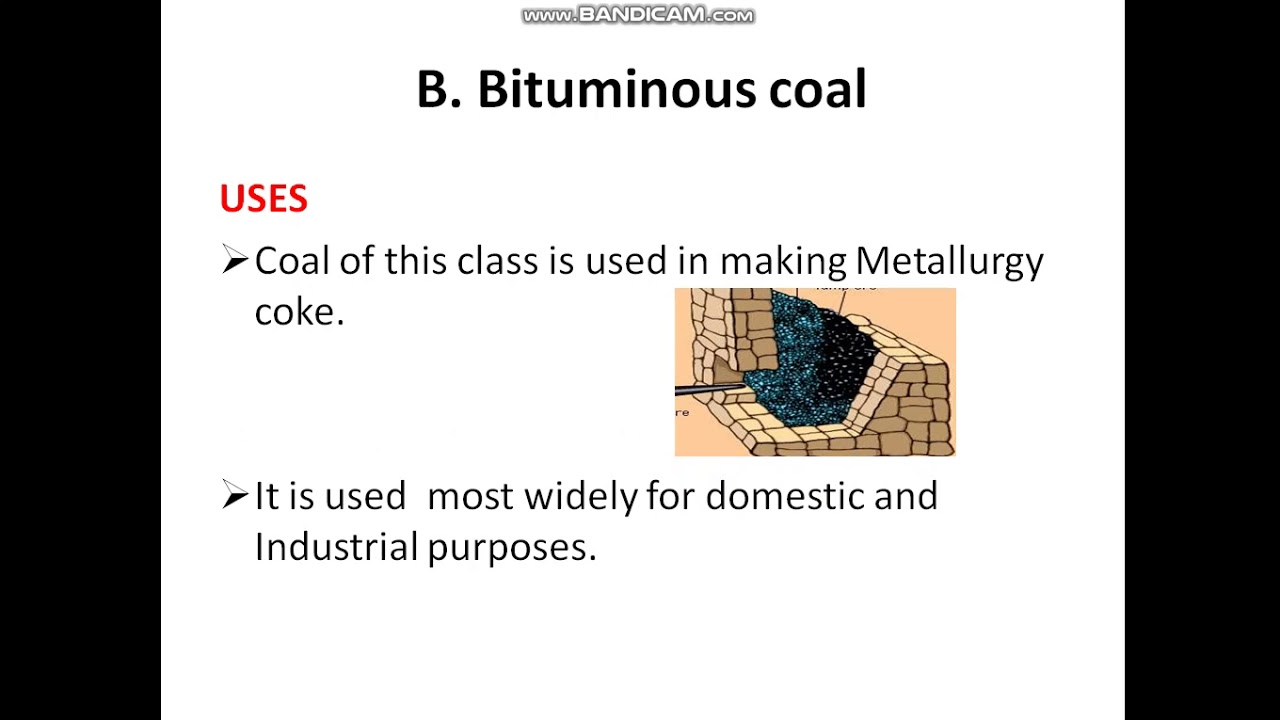 Bituminous Coal And Anthracite Coal