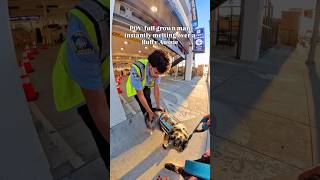 He Saw Koda And Couldnt Hide The Smile dog dogs dogshorts cute cuteanimals cutedog