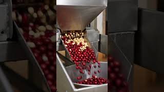 You think the world's best coffee comes from Brazil or Colombia, BUT you are missing out on this Ind