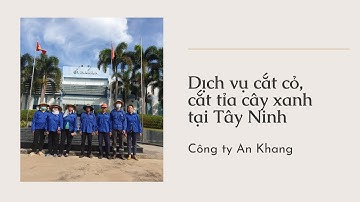 Dịch vụ cắt cỏ cắt tỉa cây xanh tại Tây Ninh uy tín, giá rẻ