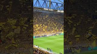 O YOU´LL NEVER WALK ALONE DA TORCIDA DO BVB NA SEMIFINAL DA CHAMPIONS LEAGUE!