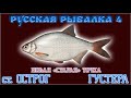 РР4 СТАРЫЙ ОСТРОГ ГУСТЕРА Ч.3 / РУССКАЯ РЫБАЛКА 4 ГУСТЕРА Ч.3 / RUSSIAN FISHING 4 SILVER BREAM PT.3