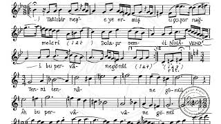 Cinuçen Tanrıkorur Kârçe-İ Nüh Felek - 9 Makamli Kâr-I Nâtik