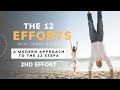 The 12 Efforts: A Modern Approach to the 12 Steps (2nd Effort)  |  Tommy Rosen Recovery 2.0
