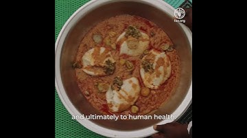 World Environment Day | FAO takes urgent action to #BeatPlasticPollution