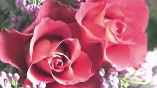 Andre Rieu - Die letzte Rose.mpg.AVI chords