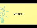 What is the meaning of the word VETCH?