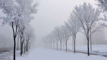 After effects tutorial: Particles-Snowfall (Simple way!).