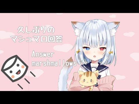 もぐもぐ🐱1年くらいぶり？にマシュマロ回答🐱Answer marshmallows