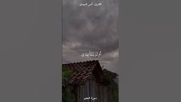 سورة النجم - أنس الميمان