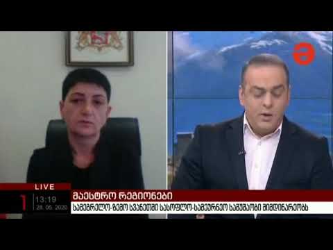 სამეგრელო-ზემო სვანეთის სახელმწიფო რწმუნებულის მოადგილემ ნინო ვიბლიანმა \"მაესტროს\" პირდაპირ ეთერში