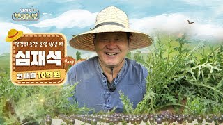 [195회] 영험한 풀 '엉겅퀴' 농장 운영으로 연 매출 10억~! '전북 임실군 심재석 부자농부'