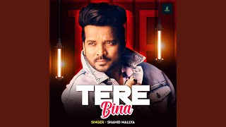 Tere Bina