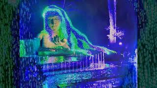 Atlanta Botanical Garden  Holiday Lights  2020 movie