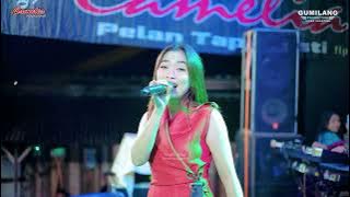 ROMANTIKA NISYA PANTURA - CAMELIA SLOWLY BUT SURE - CIRCUMCISION M KEVIN PRATAMA - DUDAKAWU KRAJAN