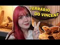 DECORANDO O TERRÁRIO NOVO DO VINCENT (meu dragão barbudo) 🦎✨🐉