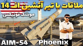 AIM54 Phoenix Missle / موشک فونیکس مقلب به تیر آتشین