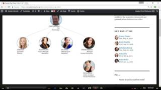 Simple Dynamic Org Chart WordPress Plugin