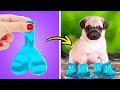 Baloon Boots for a Puppy?😱🦴 Best DIYs and Hacks for Pet Owners by TeenVee