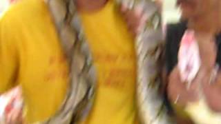 Details Squeeze snake_0236.AVI News