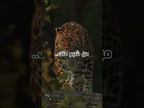 ٢٣ نوفمبر ٢٠٢٣